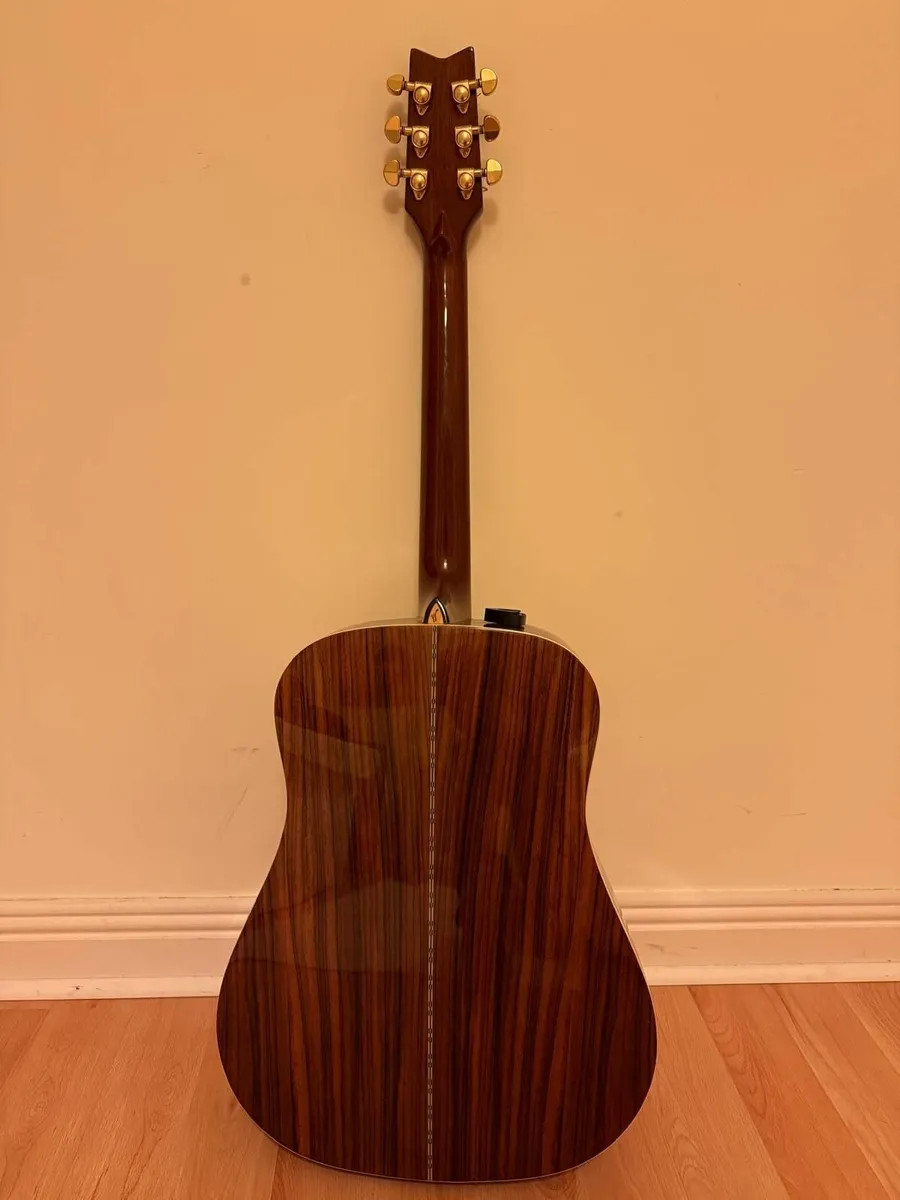 Washburn Guitar - Image 2