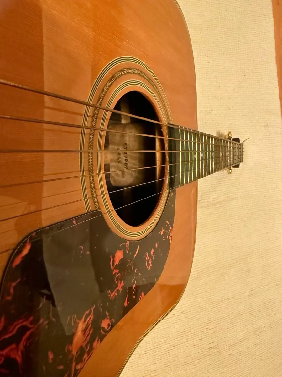 Washburn Guitar - Image 3