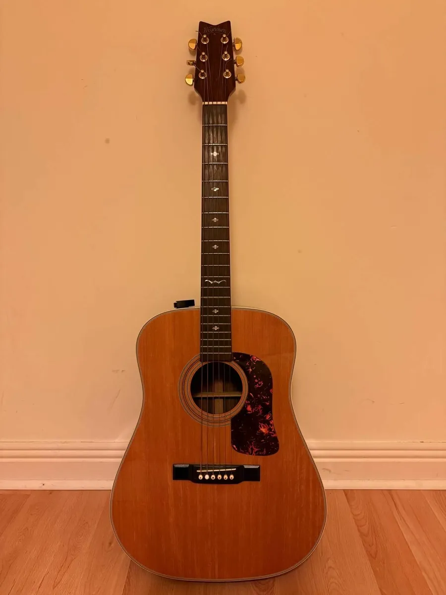 Washburn Guitar - Image 4