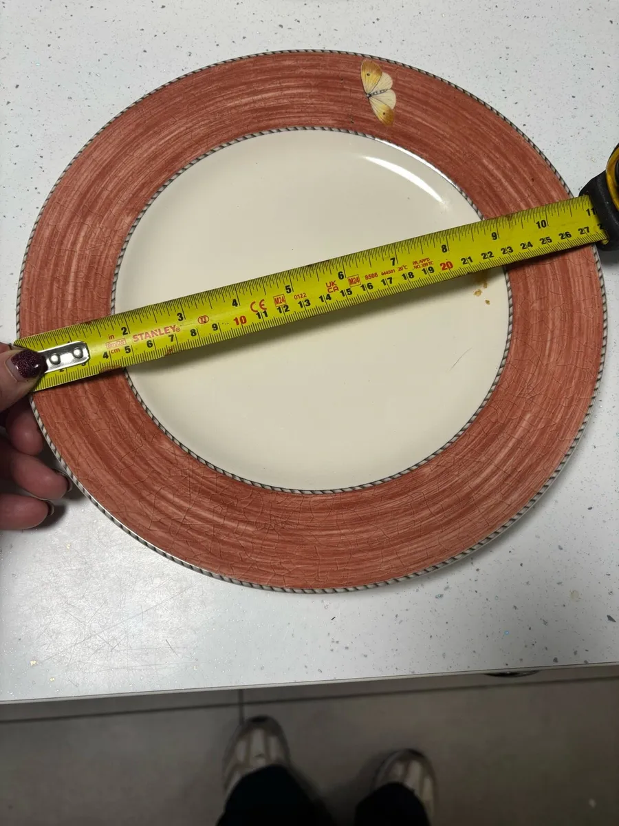 20 Sarah’s garden wedge wood Dinner Plates - Image 1