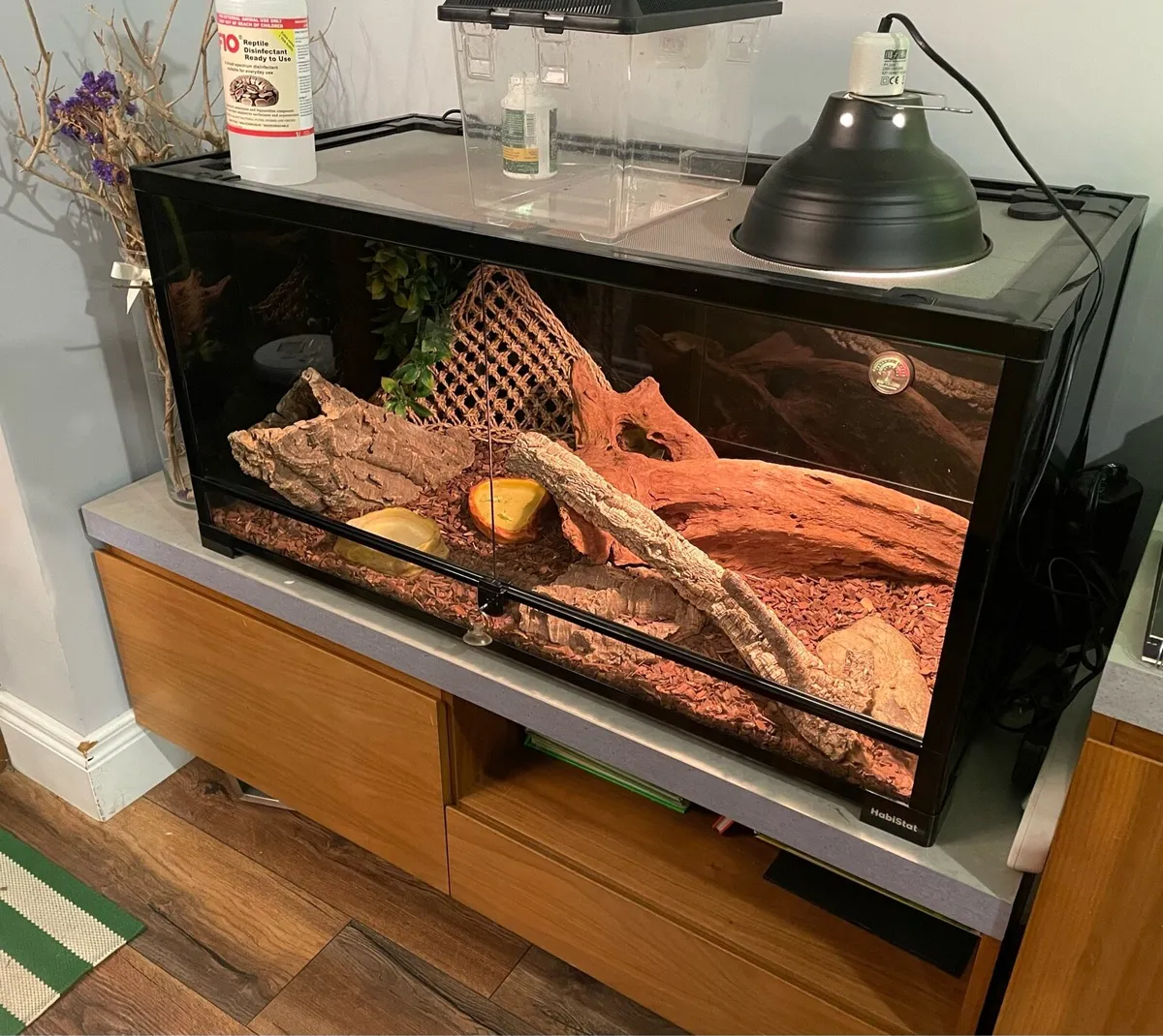 Lizard/ Reptile Habitat - Image 2