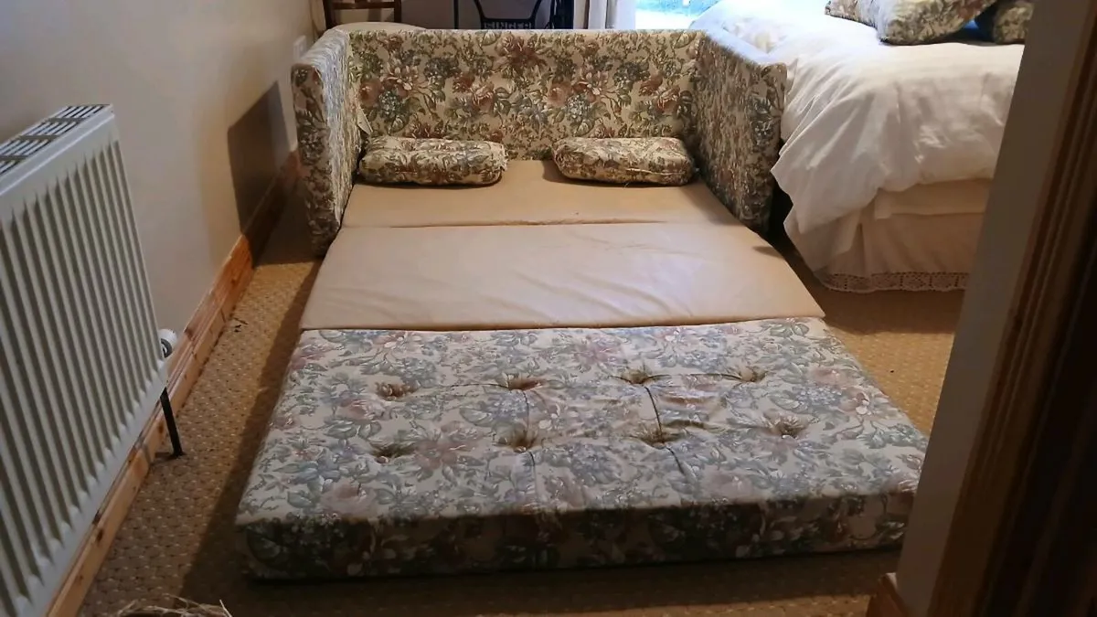 Sofa bed FREE - Image 2