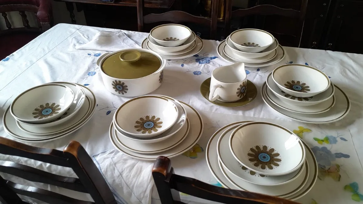 Dinner Service Retro Vintage Green J G Meakin - Image 1