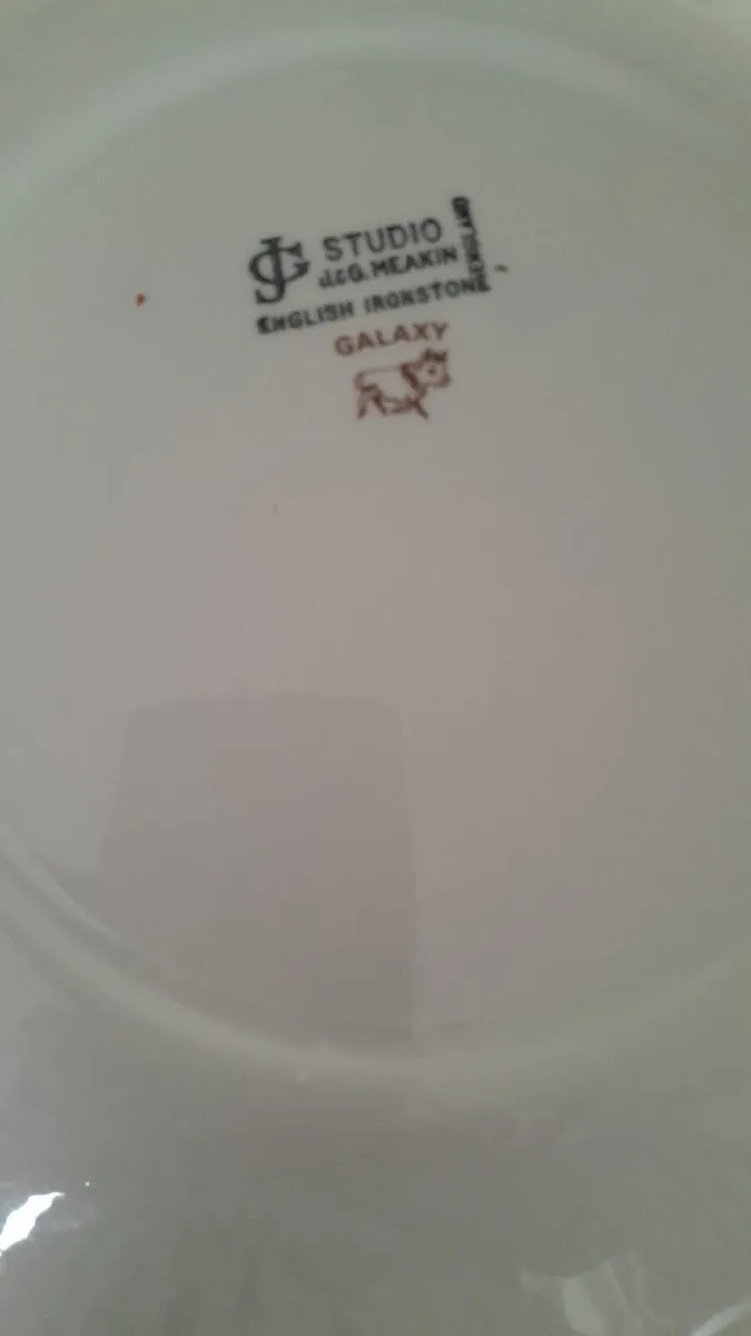 Dinner Service Retro Vintage Green J G Meakin - Image 4