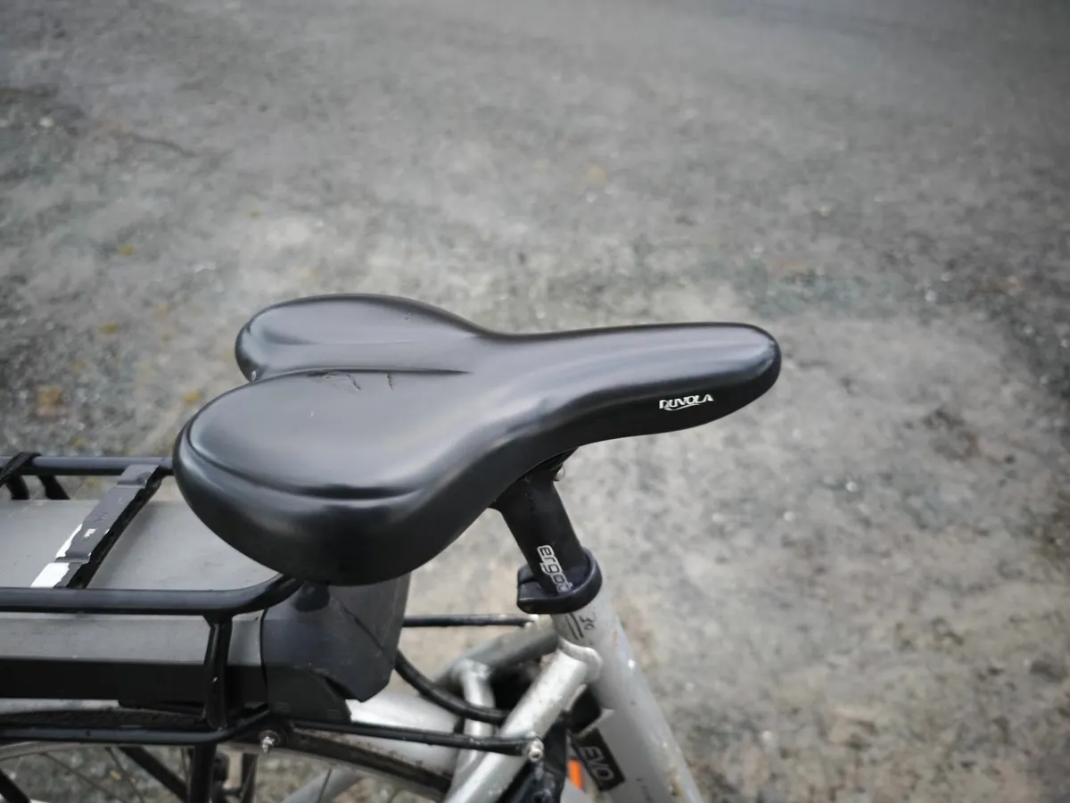 Ebike bosch - Image 4