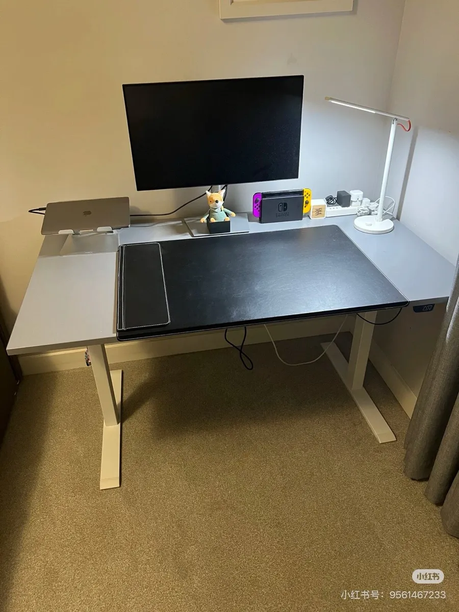 Electric Standing desk - Image 2