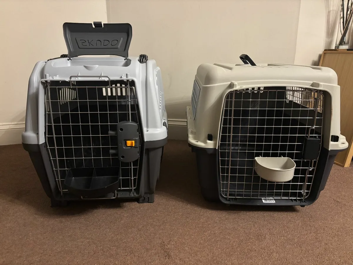 Airline Approved Dog Carrier, Large - Image 1