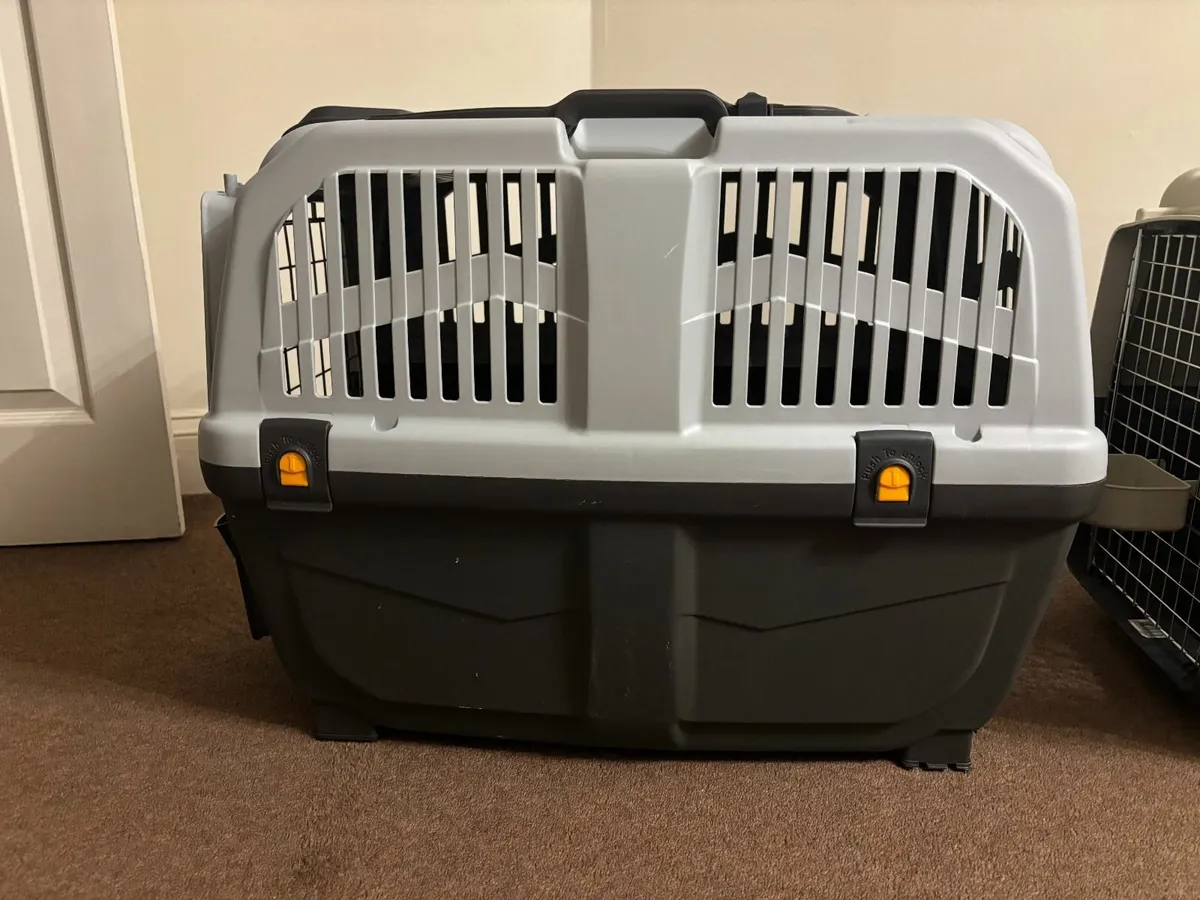 Airline Approved Dog Carrier, Large - Image 4