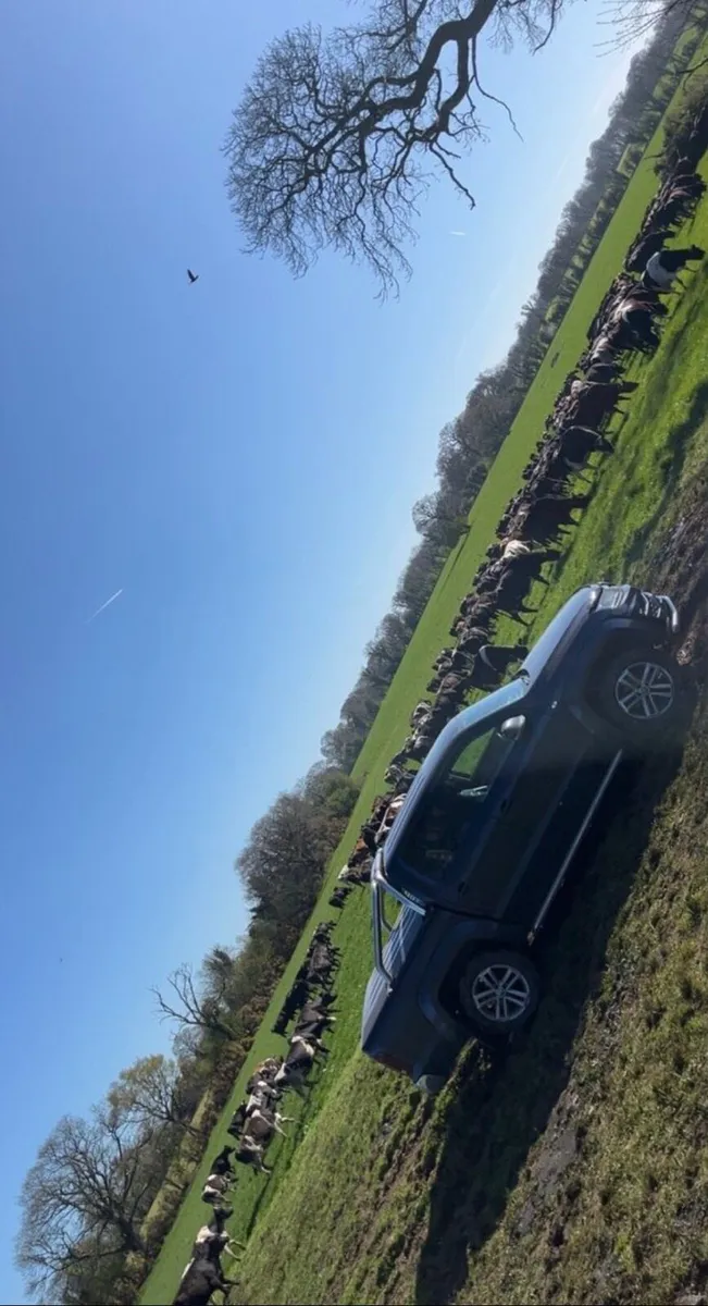 VW Amarok 3.0 V6 - Image 2