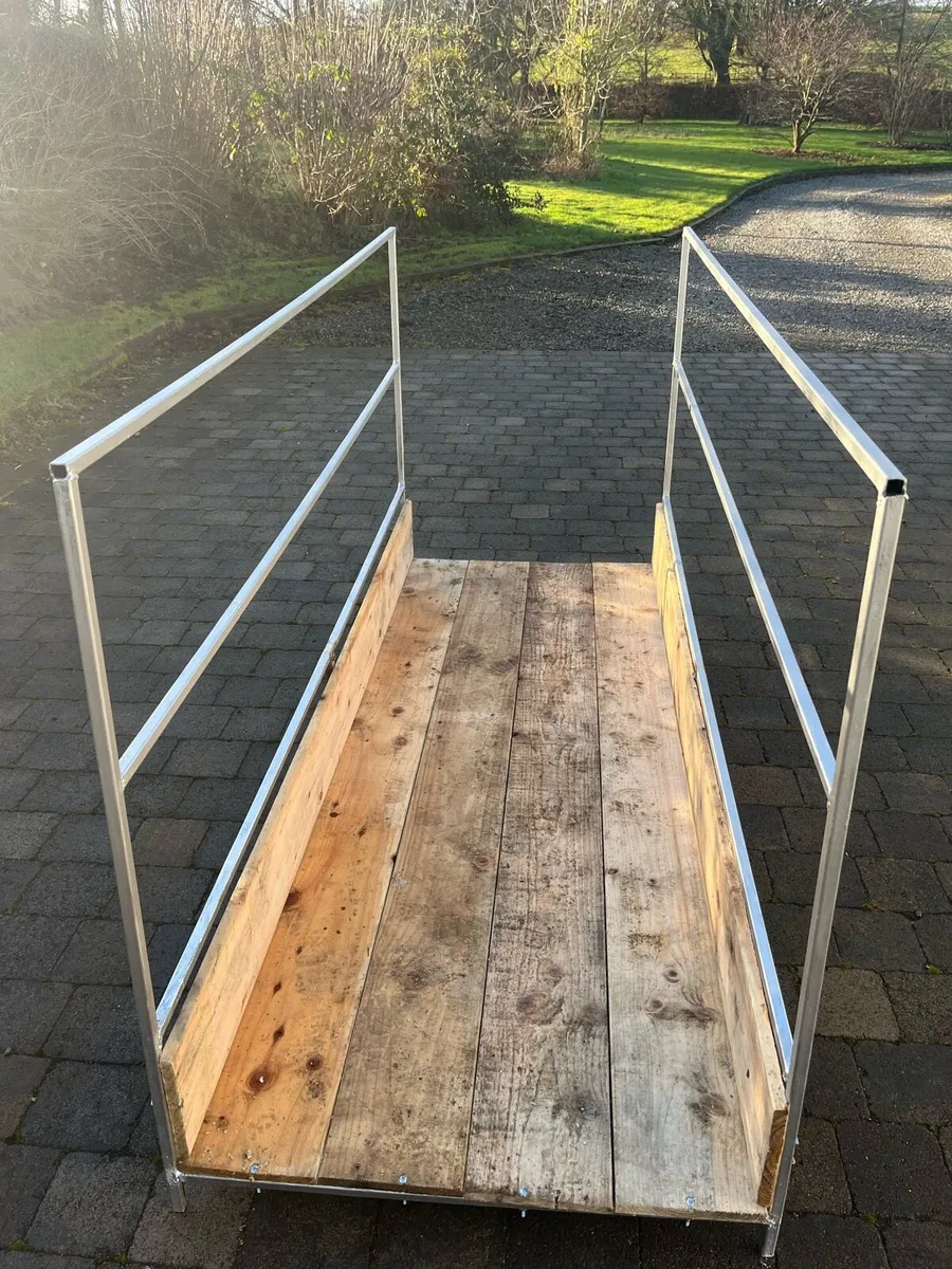 Sheep feeding passages - Image 1