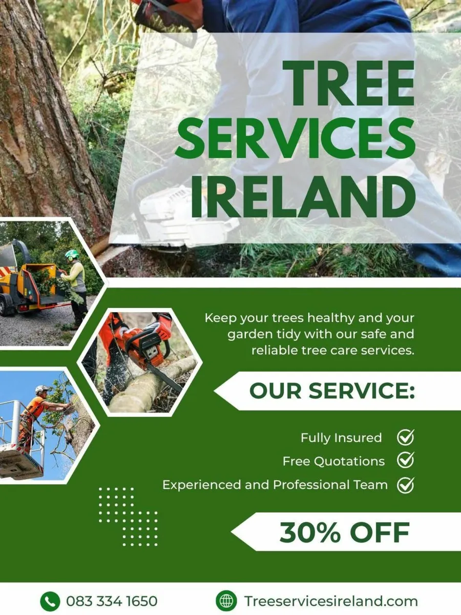 Tree Surgeon With Free Quotes Today - Image 2