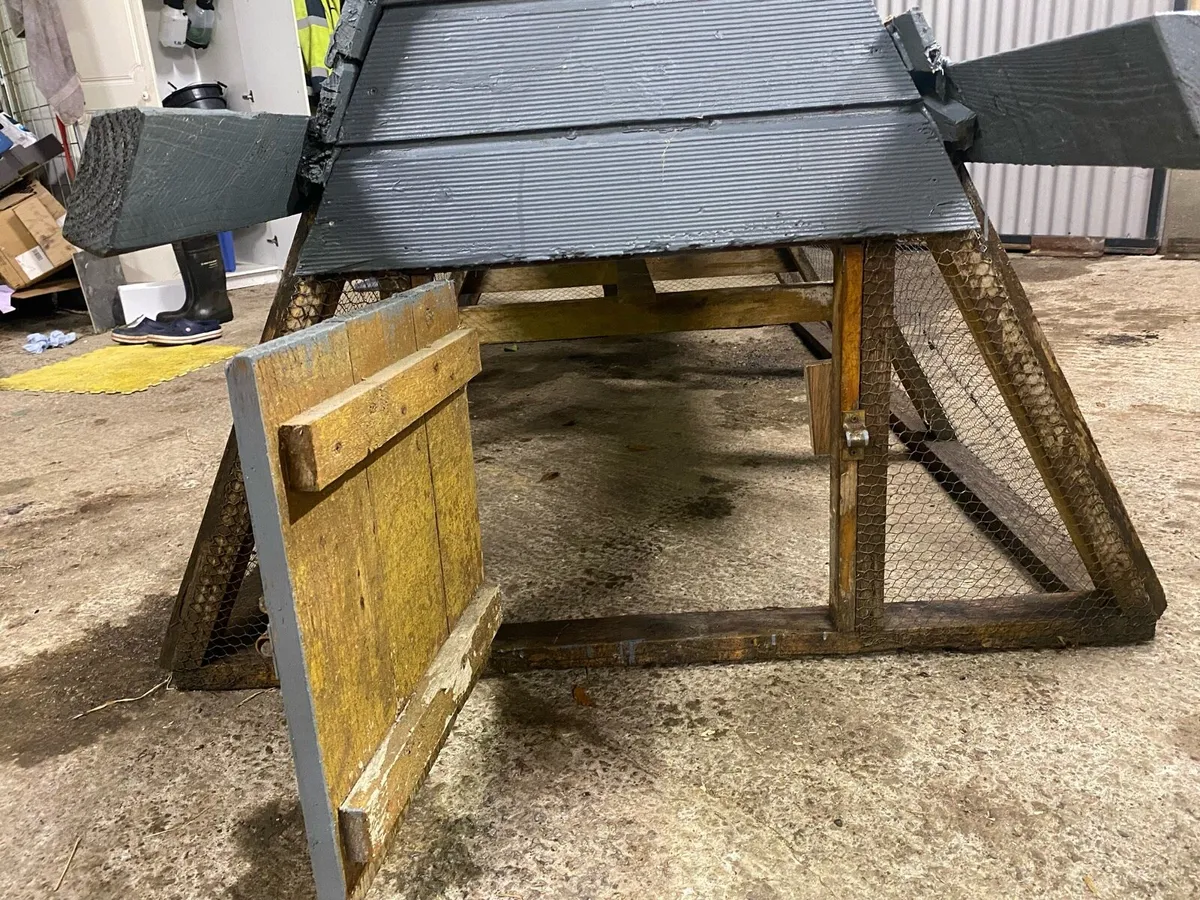 Chicken Coop - Image 4