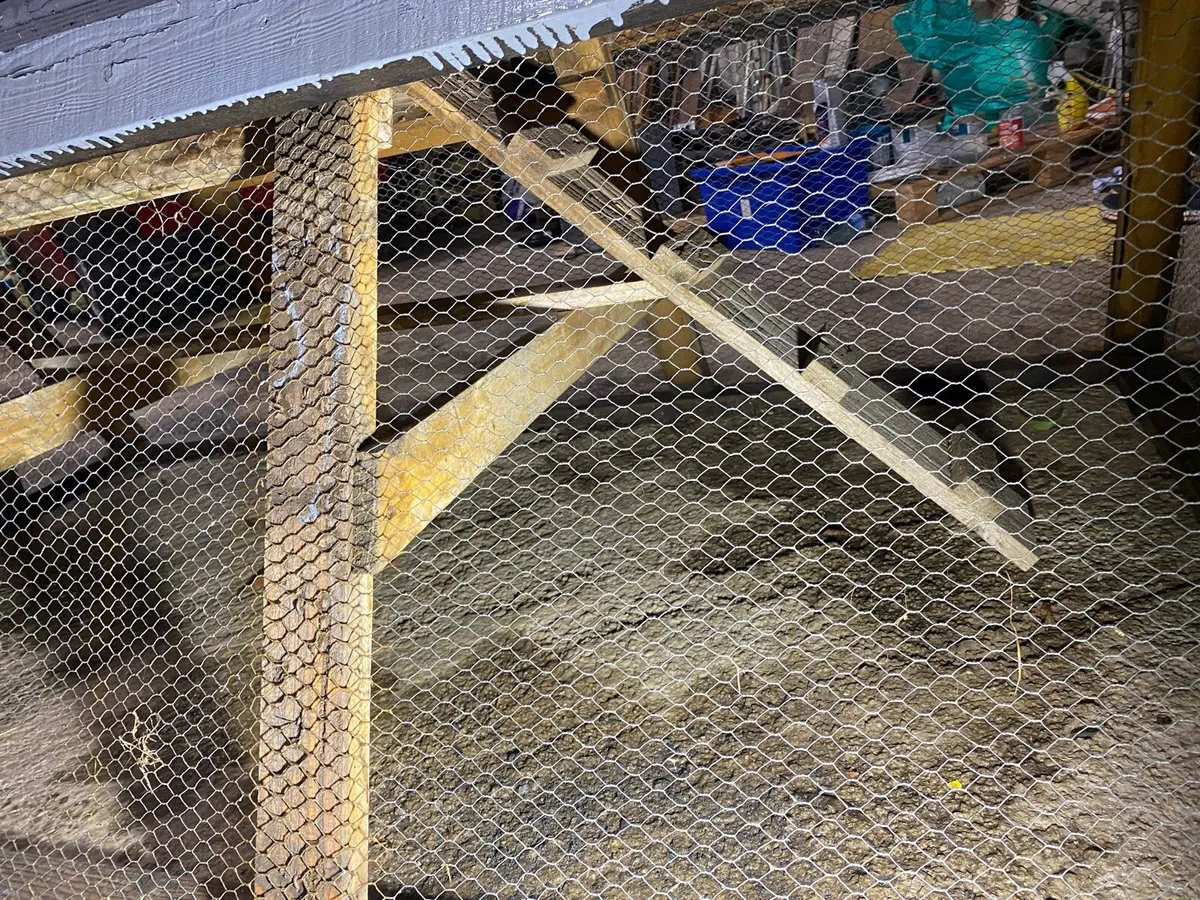 Chicken Coop - Image 3