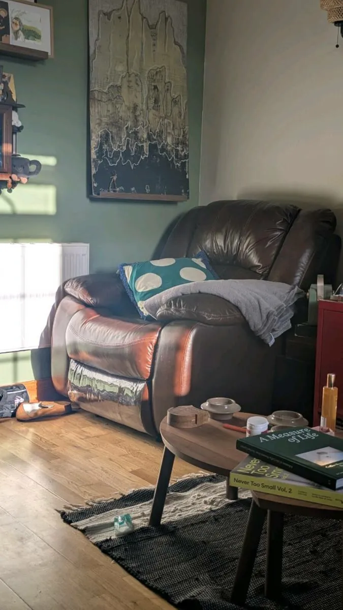 Brown Leather Recliner Armchair - Image 1