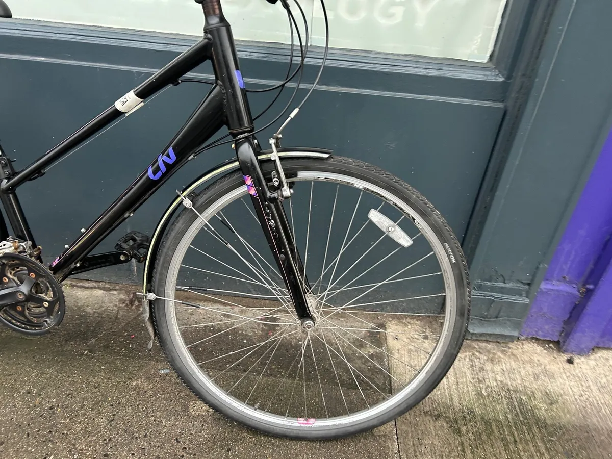 Liv  Alight ❗️Open 7 days of the week ❗️ - Image 3