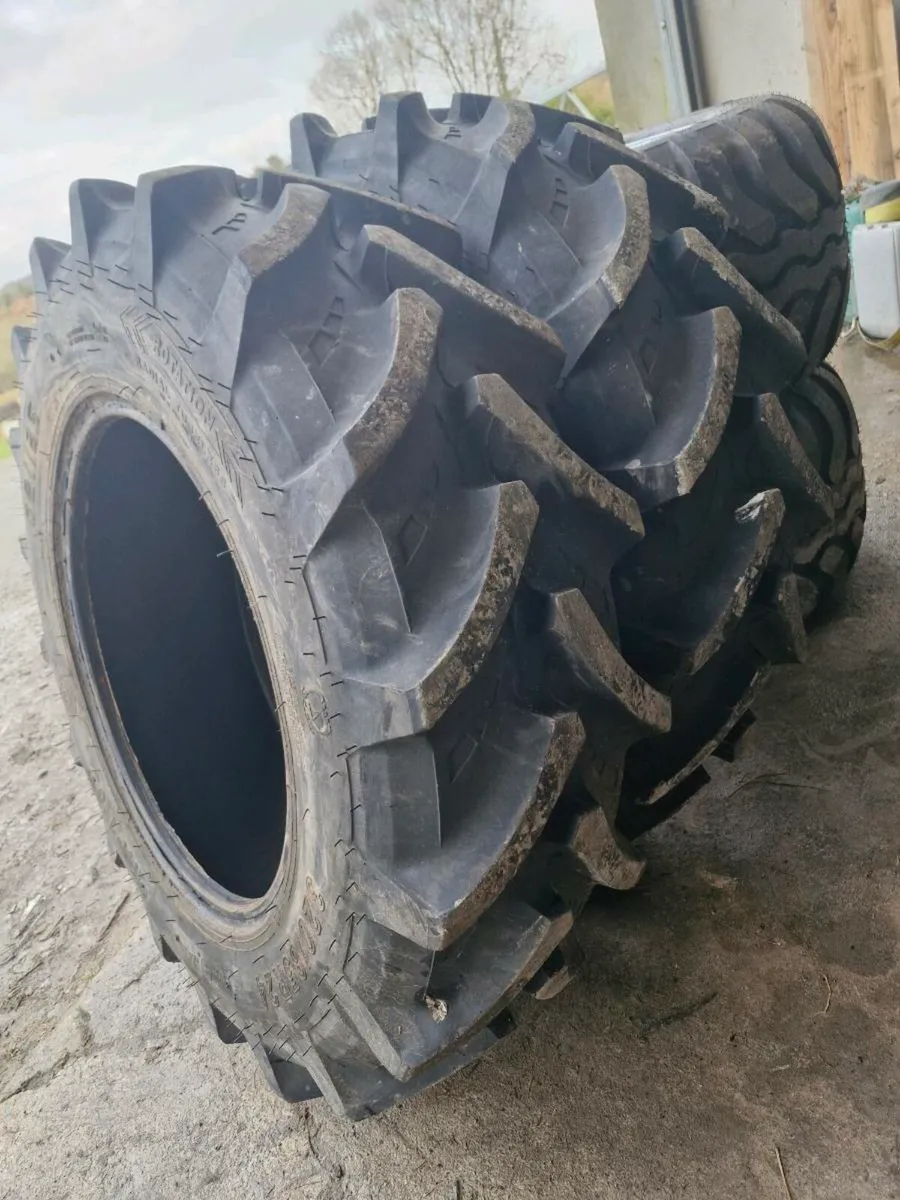 320 85 24 (12.4 24) petals 99.9% - Image 1