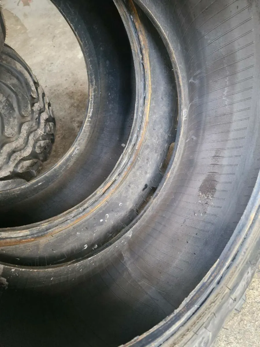 320 85 24 (12.4 24) petals 99.9% - Image 2