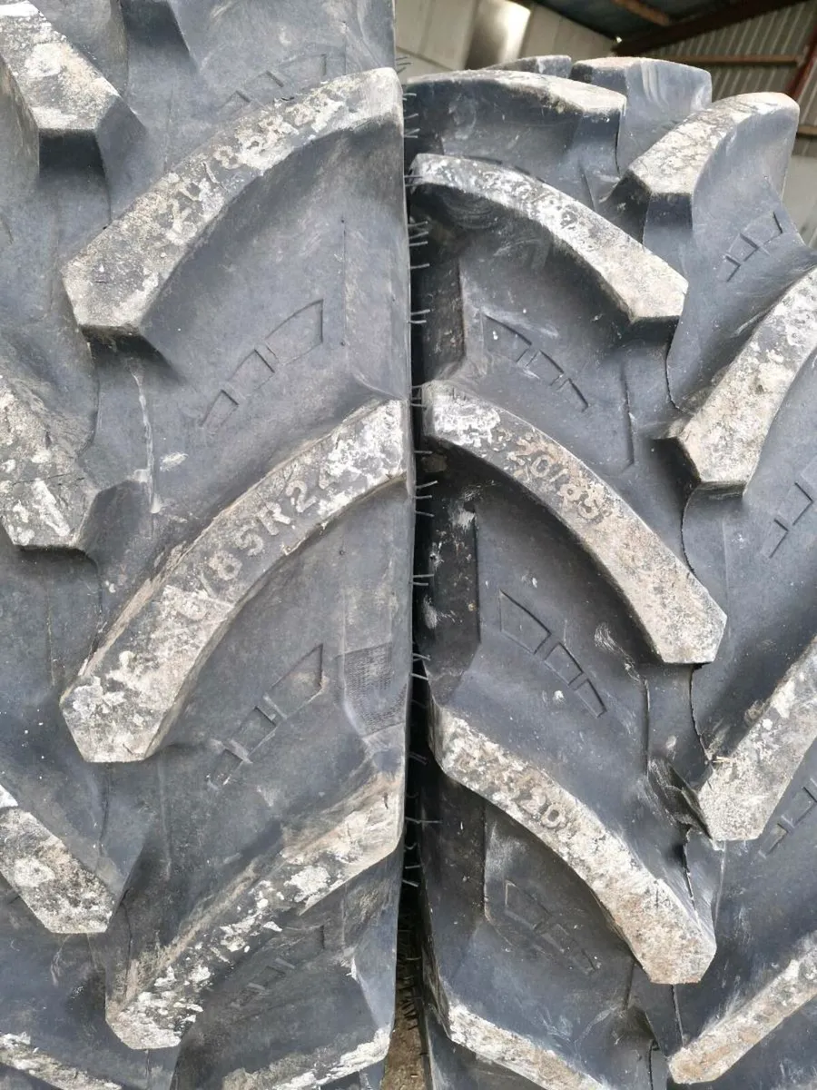 320 85 24 (12.4 24) petals 99.9% - Image 4