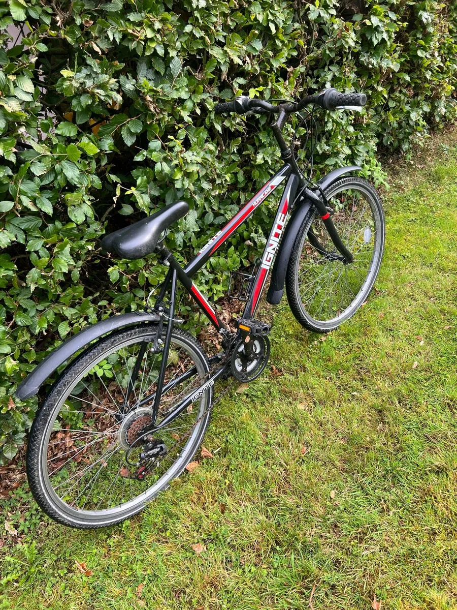 Bike - Image 2
