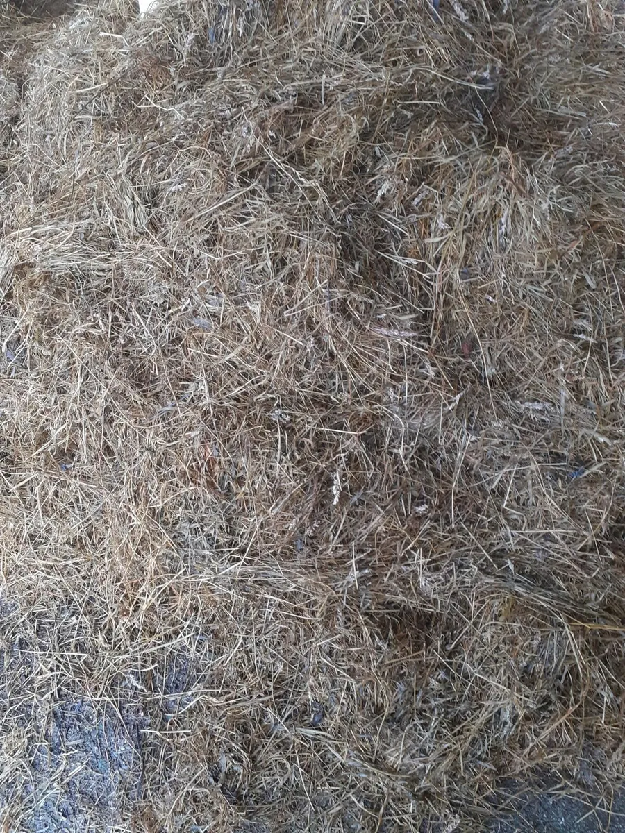 Silage bales - Image 2