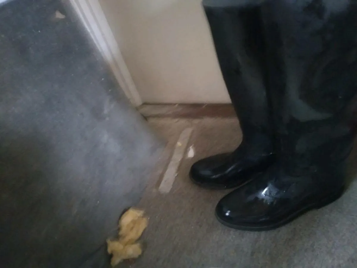 Rubber Riding Boots Size 41/7.5. FREE to COLLECT - Image 1