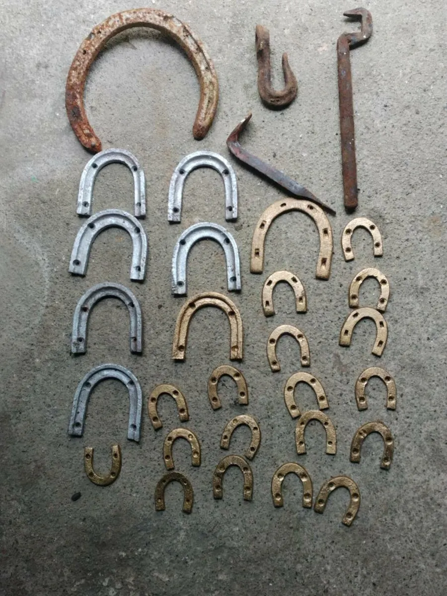 Vintage metal shoes and bits