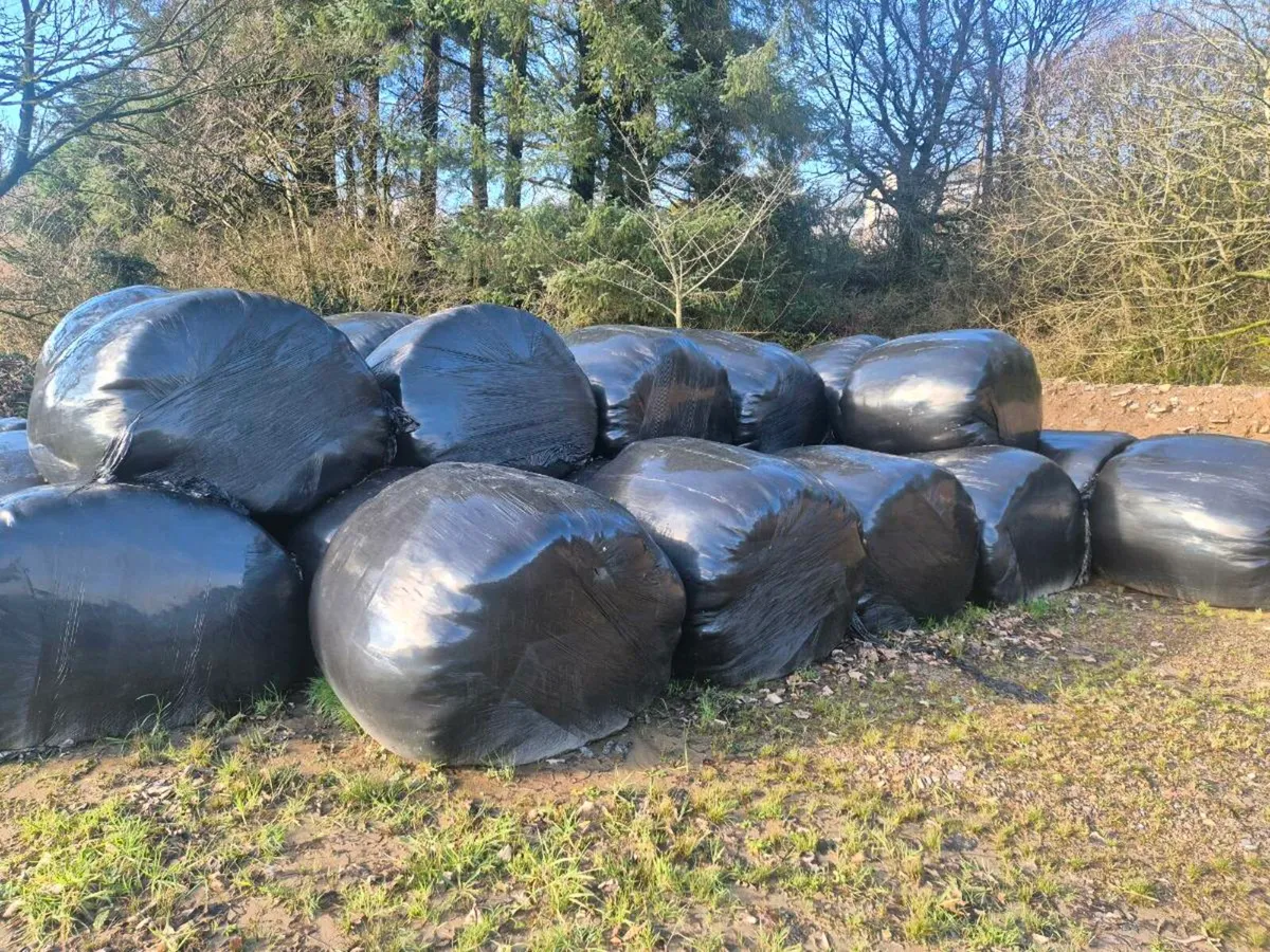 Silage bales