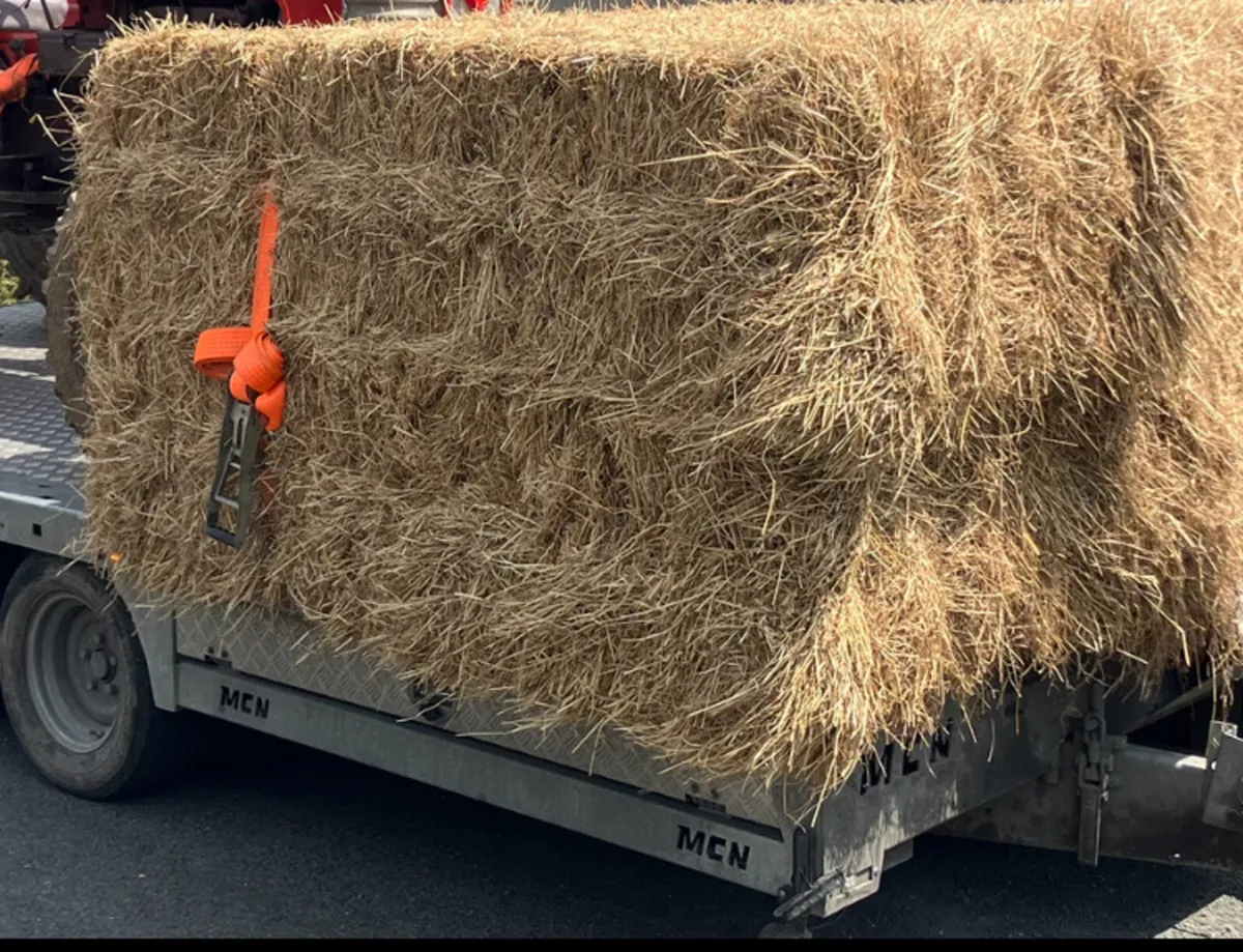 HAY & STRAW         **ALL TOP QUALITY ** - Image 4
