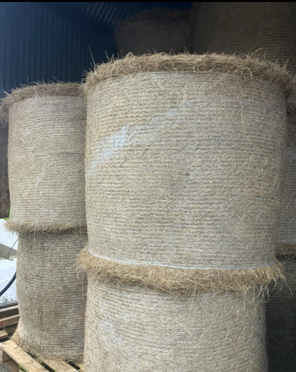HAY & STRAW         **Free Local Delivery** - Image 2
