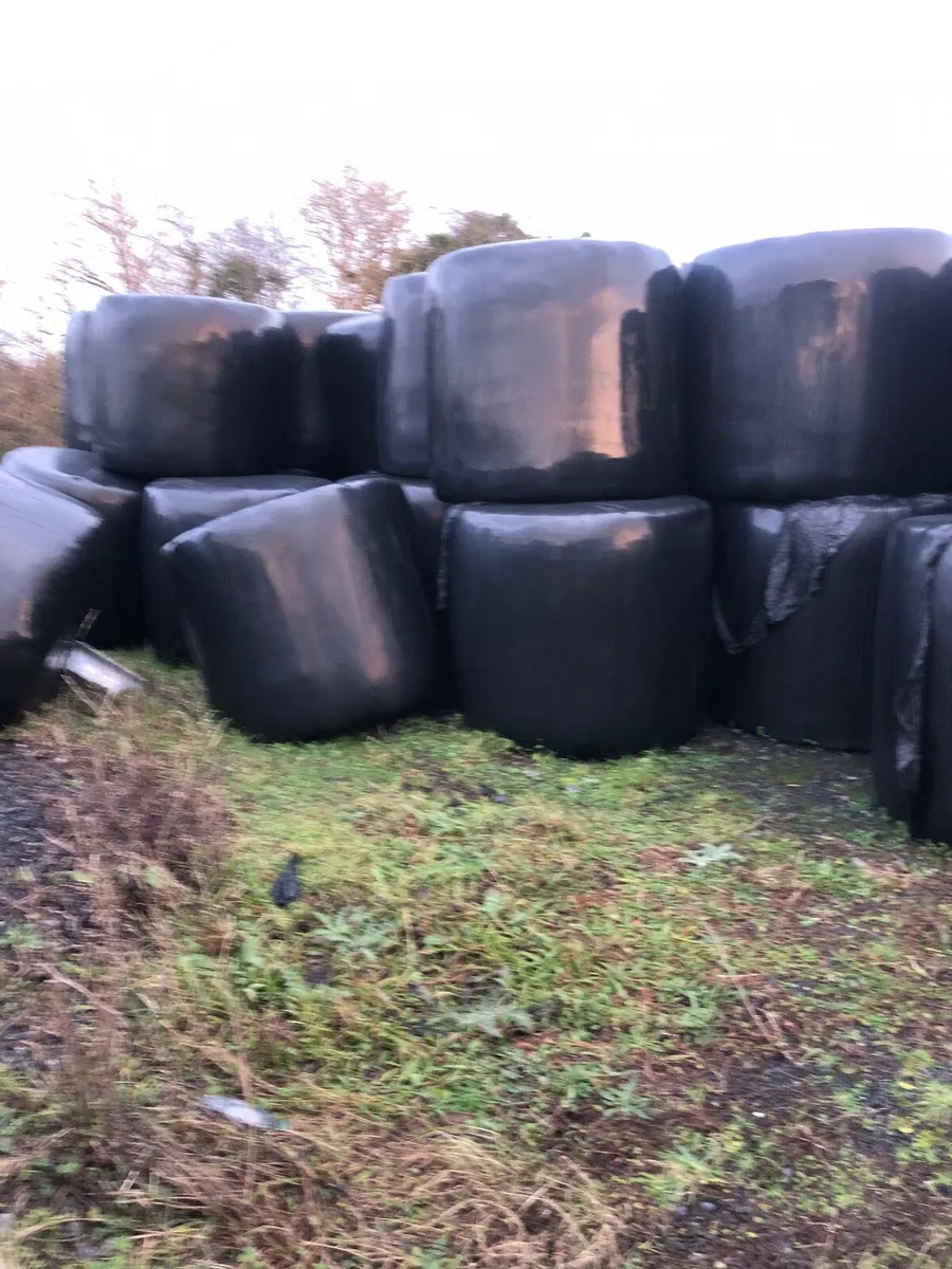Silage bales