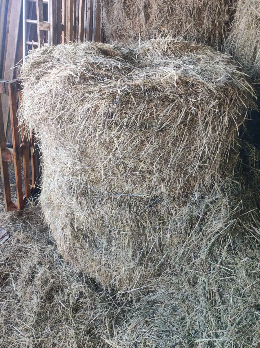 Hay - Image 1