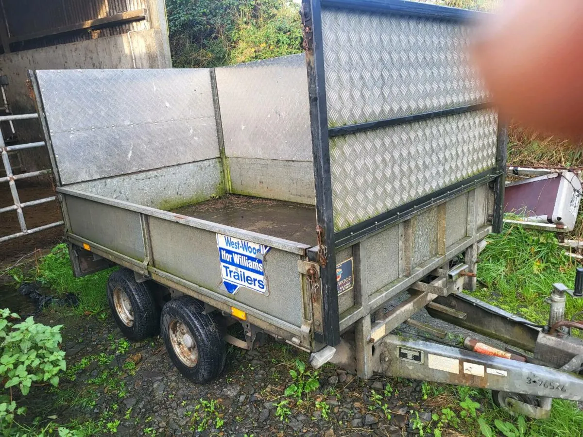 Ifor williams 8 by 5 trailer - Image 2