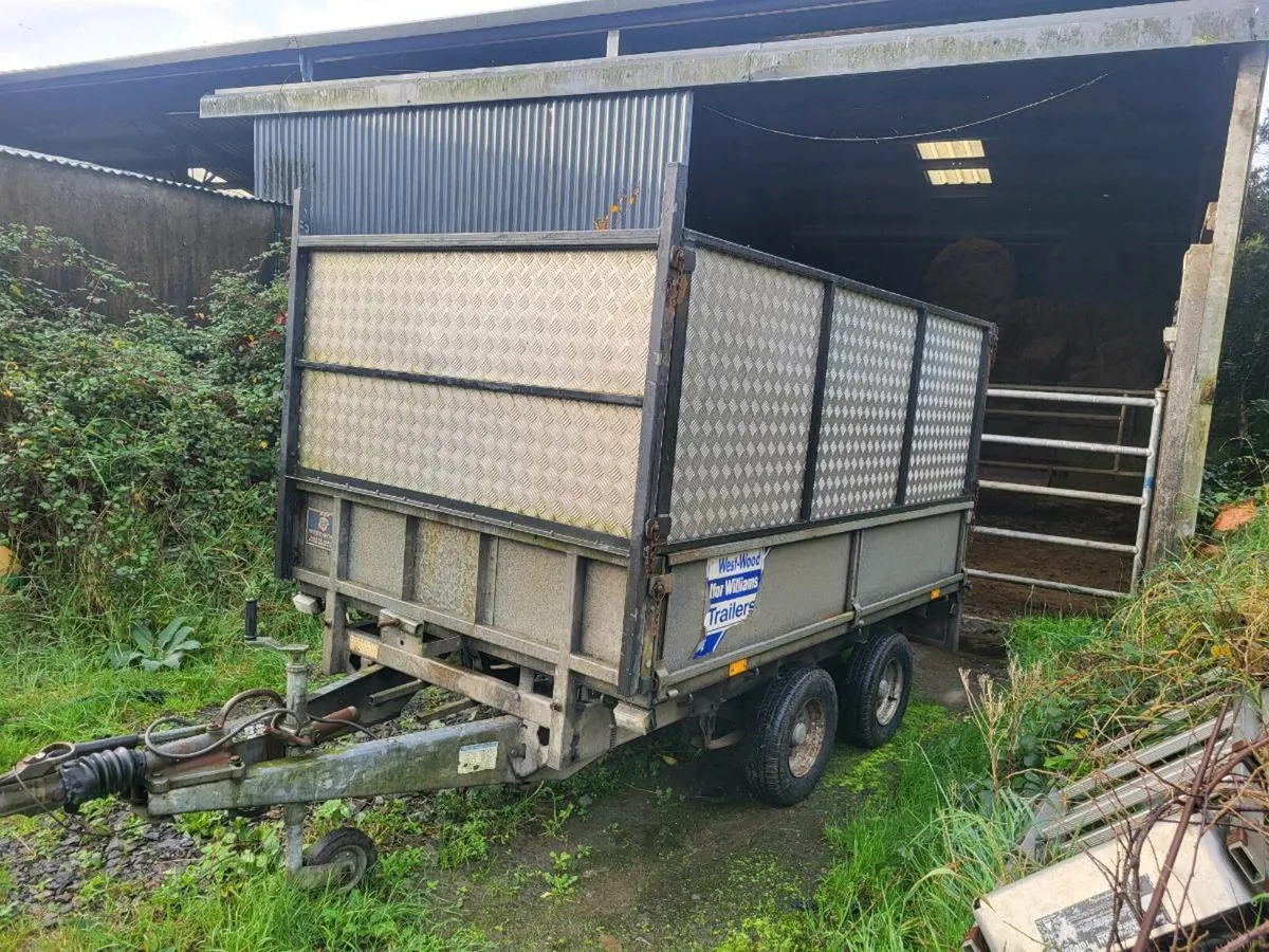 Ifor williams 8 by 5 trailer - Image 1