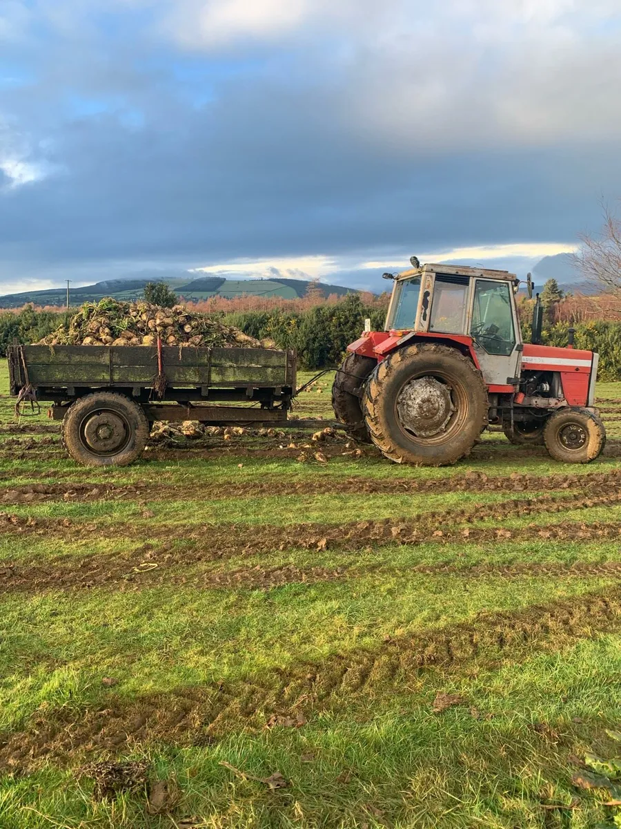 Massey tractor - Image 1