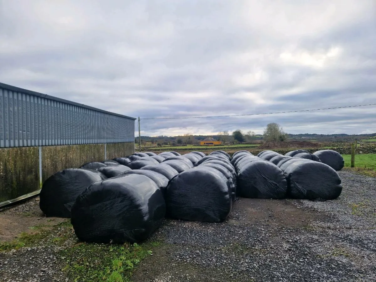 Silage bales