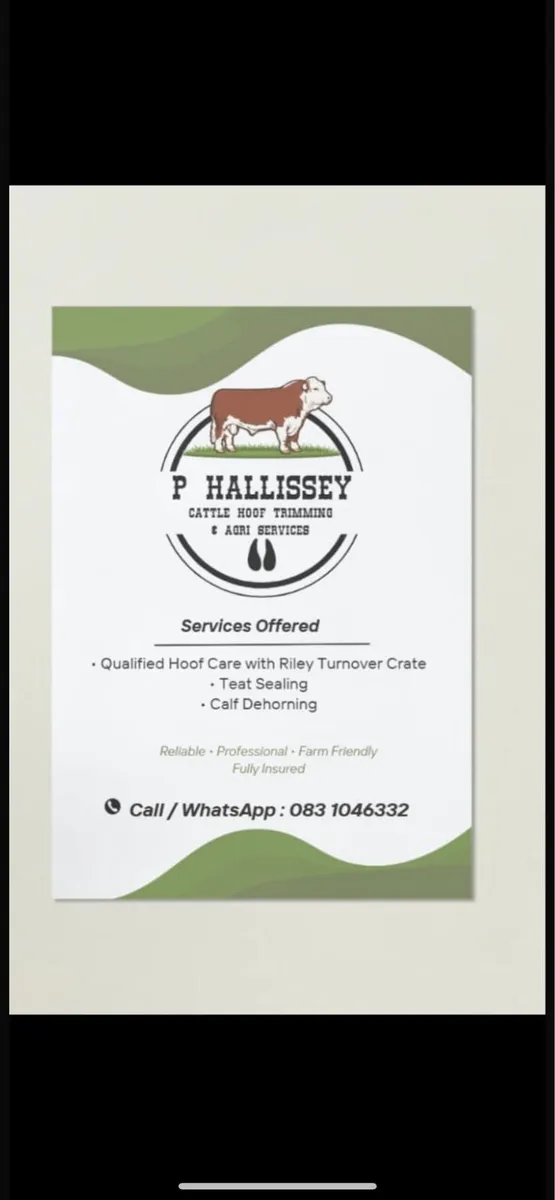 Hoof trimming & Debudding - Image 2