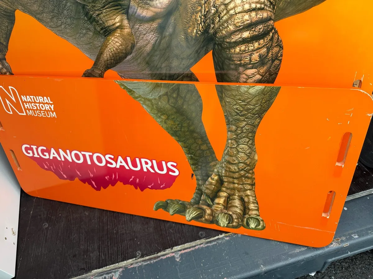 Kids bed frame with mattress - Image 3