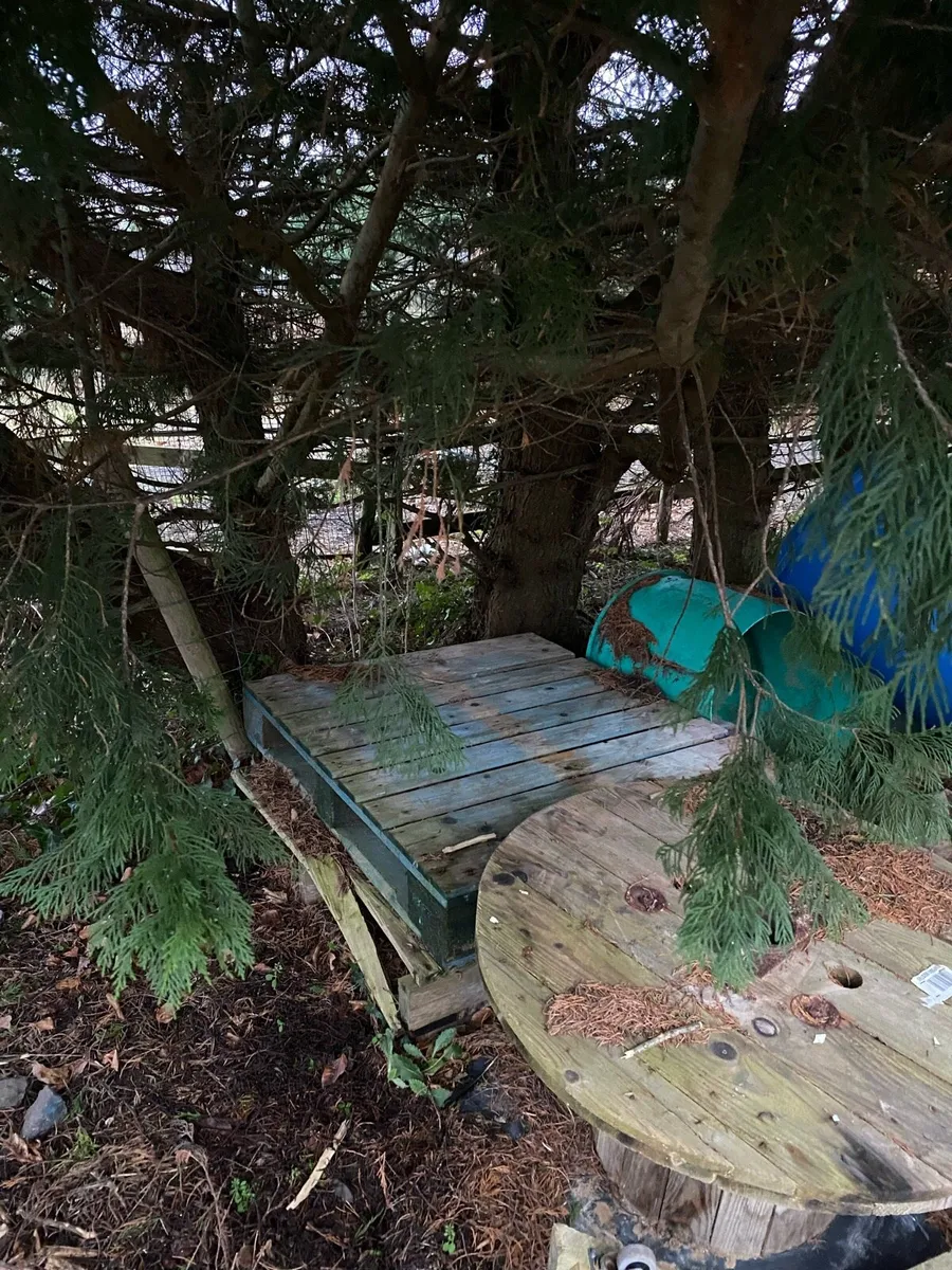 Scrap wood, fire wood, pallets etc. - Image 4