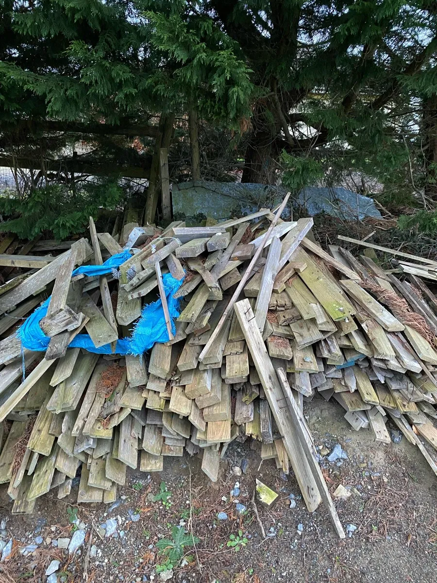 Scrap wood, fire wood, pallets etc. - Image 2