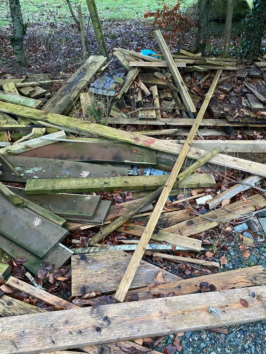 Scrap wood, fire wood, pallets etc. - Image 3