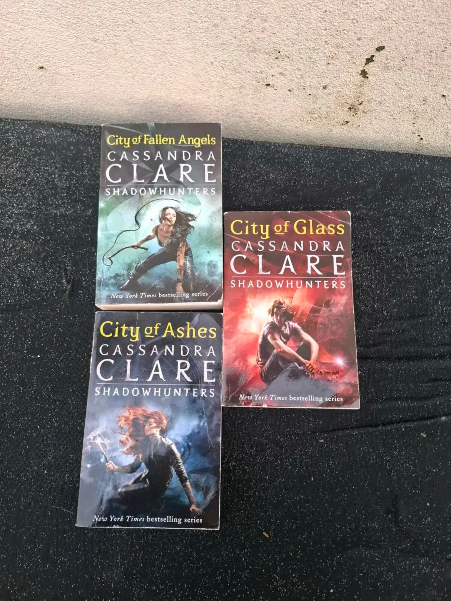 3 shadow hunter books