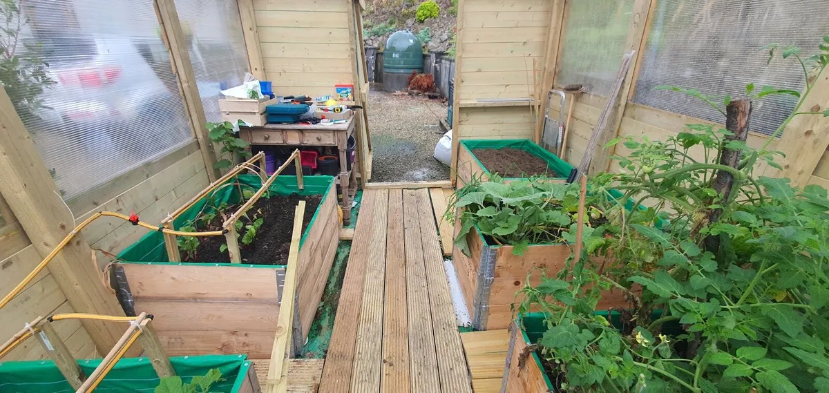 Pallet collars raised beds - Image 3