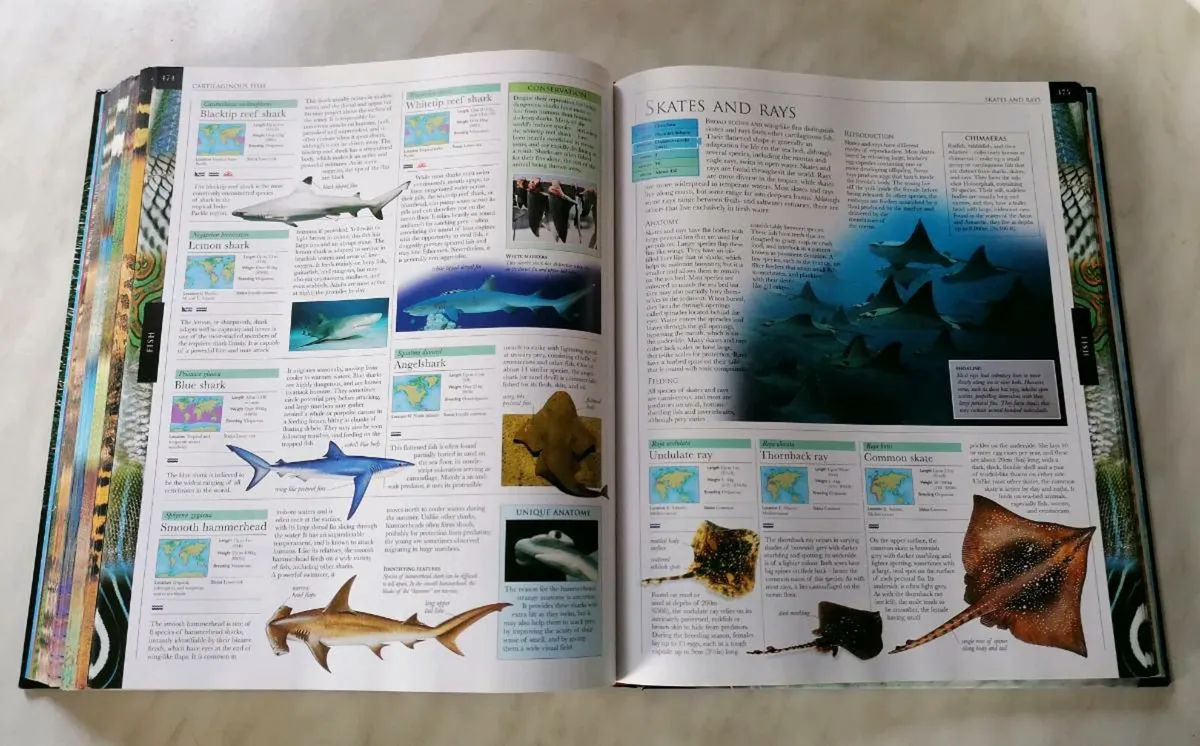 Animal Book - Image 3