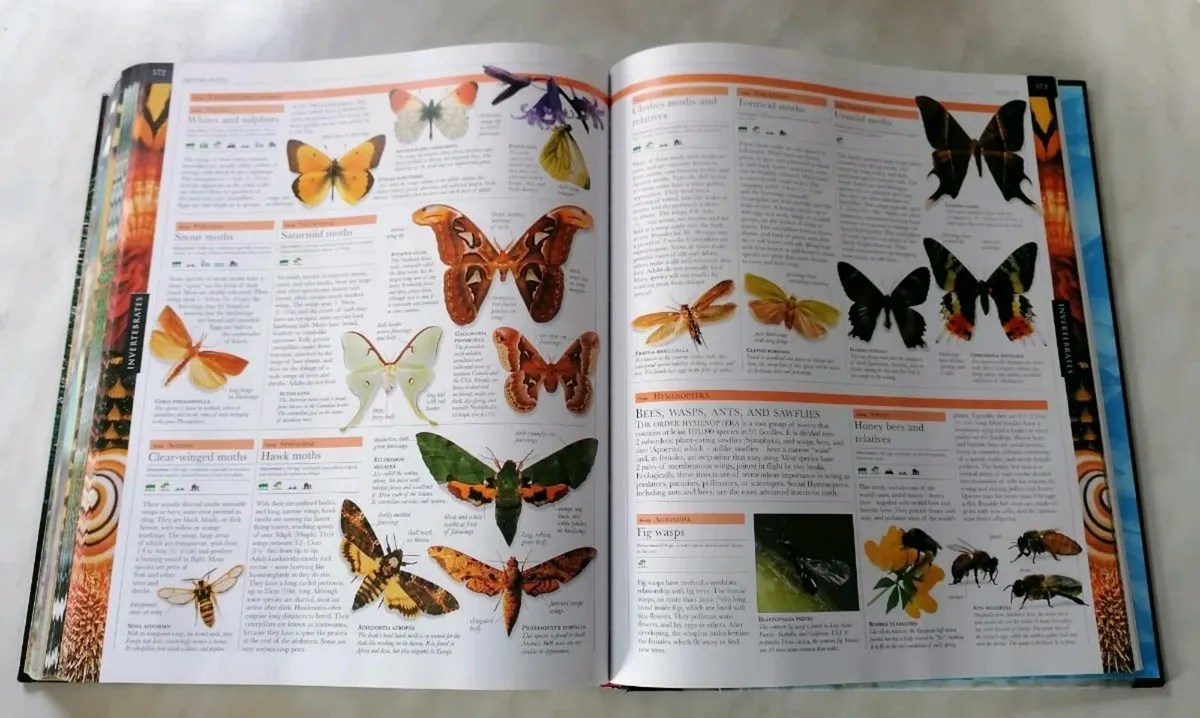 Animal Book - Image 2