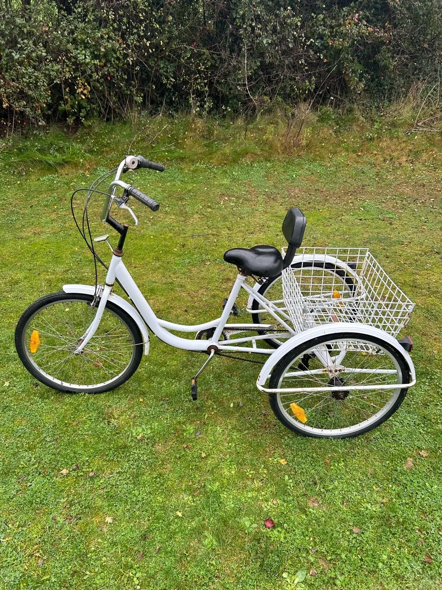 Tricycle For Sale - Image 3