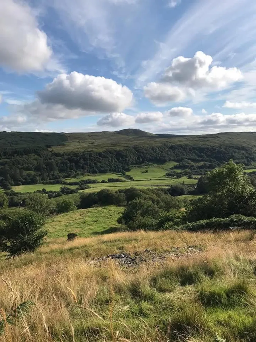 Holiday Home Glenties - Image 3