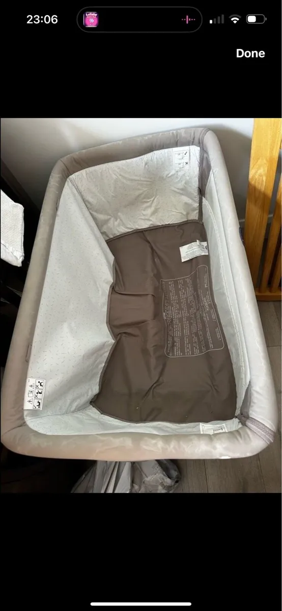 Chichi next to me - Image 1