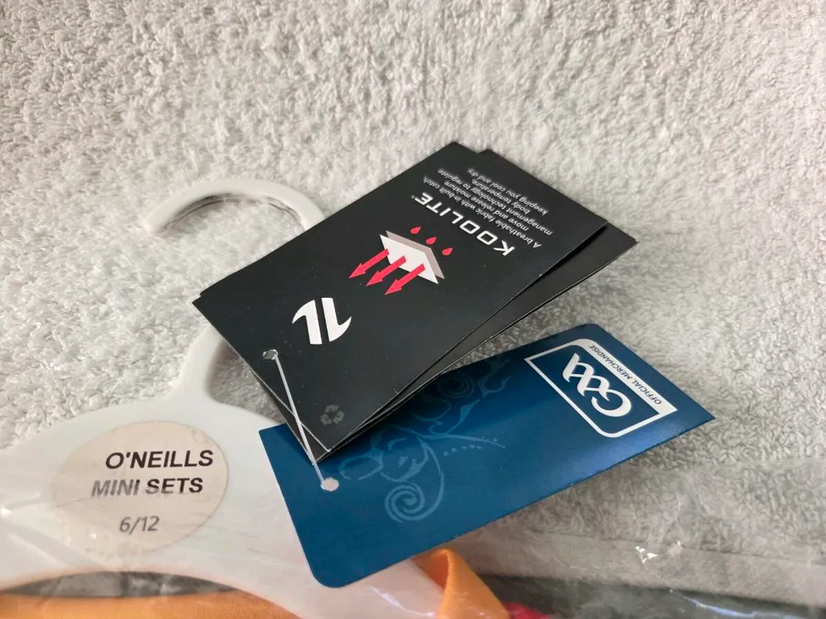 Carlow Gaelic Football Home Jersey Kit 2024 GAA - Image 2