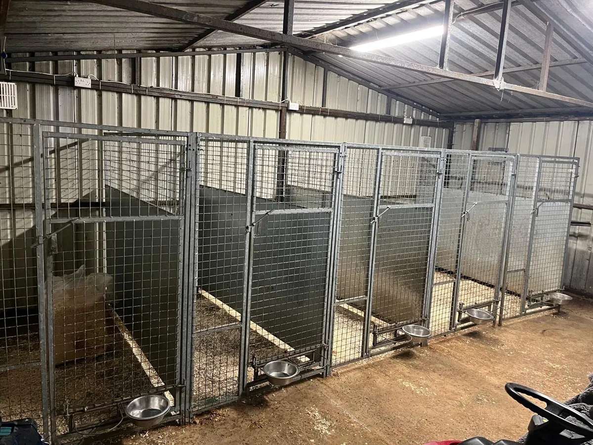 Panels / dividers..20ft by 8ft - Image 1