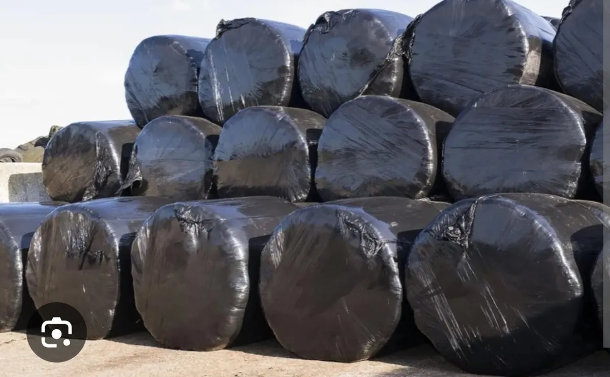 First cut top quality round bales silage 2025 - Image 1